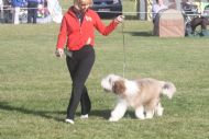 Winnie's First Show. Age 6 Months