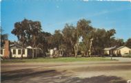 116. Sarasota