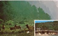 63. Orick