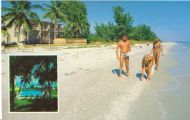 789. Sanibel Island