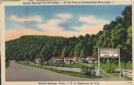 852. Martin Springs