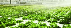 Sector Industry 6 img