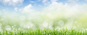 Cs Industry 1 Air Quality Support Client Pulp Paper Mill Client img