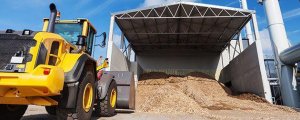 Cs Waste Management 11 Technical Advice Biomass Gasification Plant Uk img