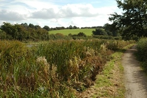 Coal Mine Surface mine at Shortwood Farm, Nottinghamshire