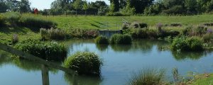 Landscape Architecture 2 img