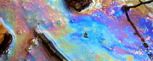 Oil Spill 2 Cropped img