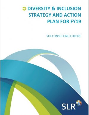 Diversity And Inclusion Action Plan img