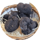 Cata de trufas en Segovia