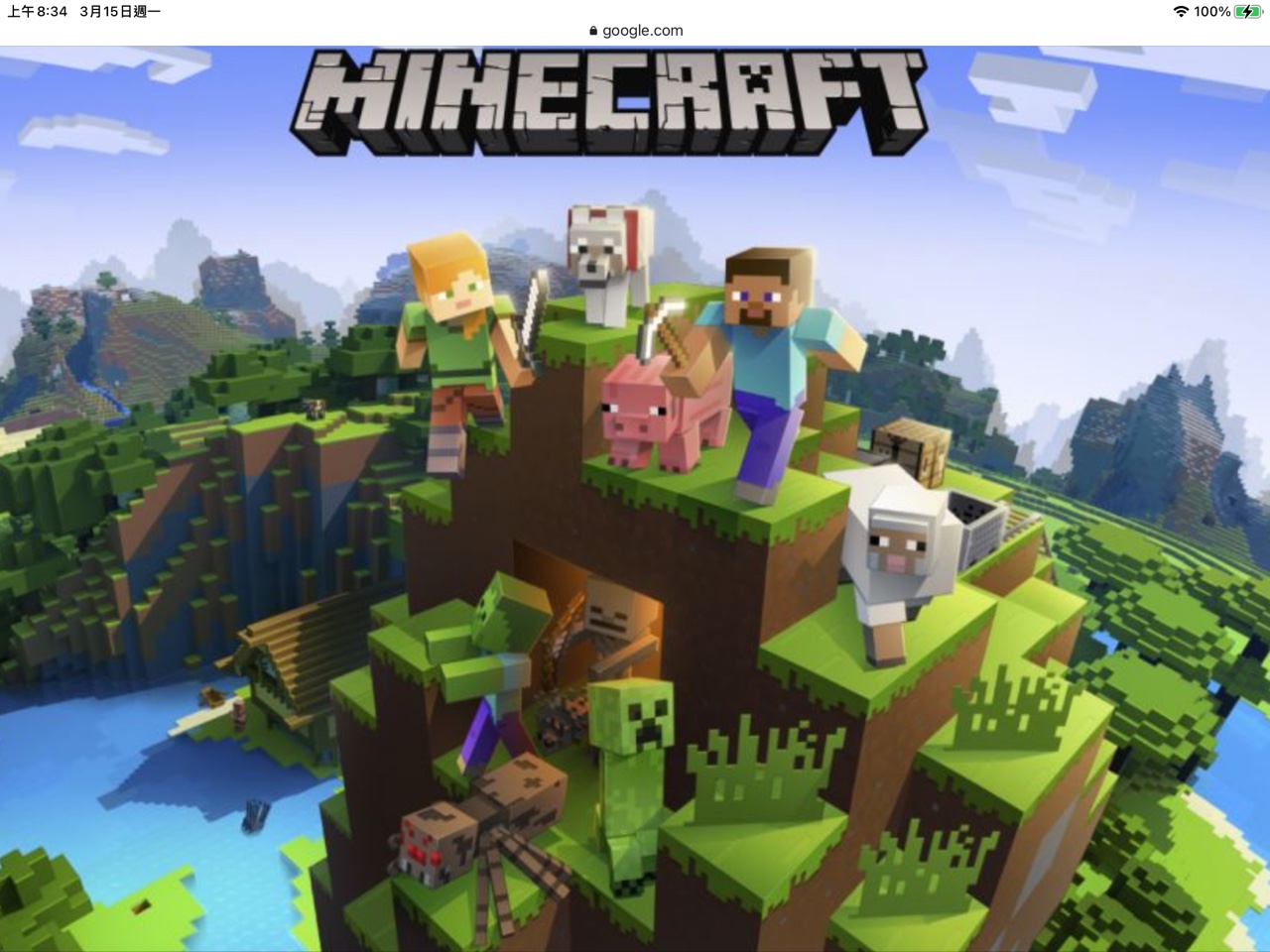 MINECRAFT
