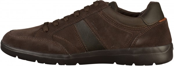 Geox Sneaker Leder/Textil Braun