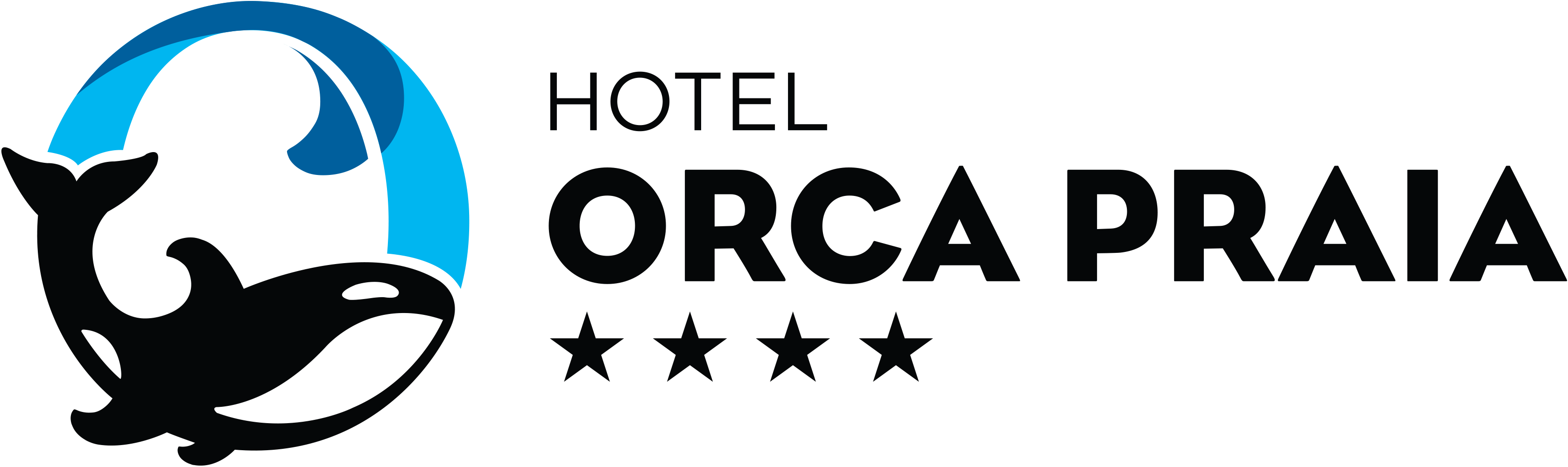 Hotel Orca Praia