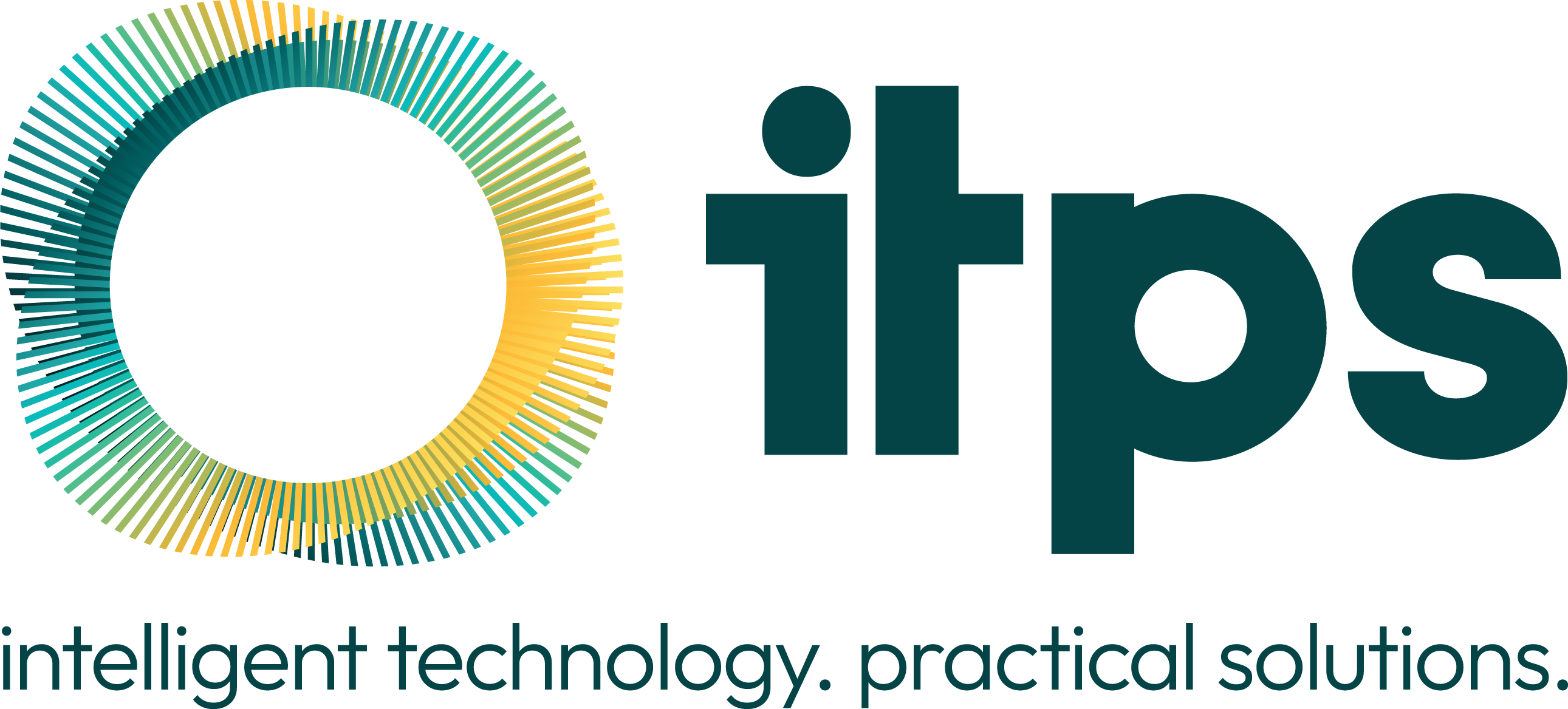 I.T. PROFESSIONAL SERVICES LIMITED