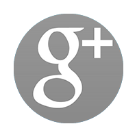 Google+