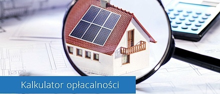 Polecamy