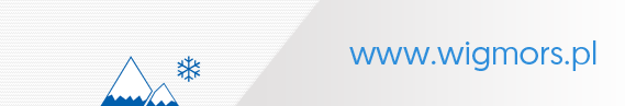 www.wigmors.pl