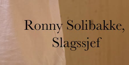 Skjermbilde av at Ronny Solibakke i Gyldendal forlag e Slagssjef.