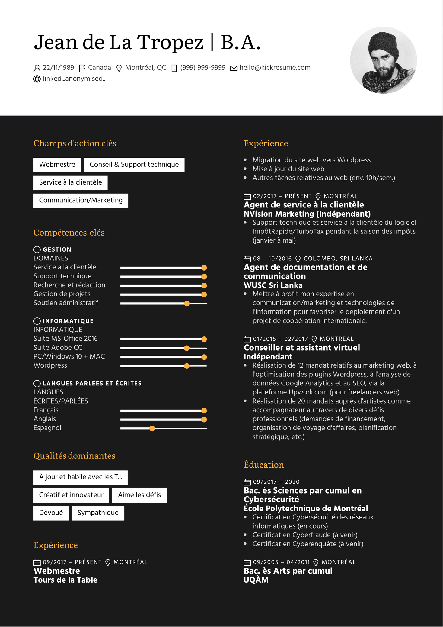 resume examples by real people webmaster webmestre resume example