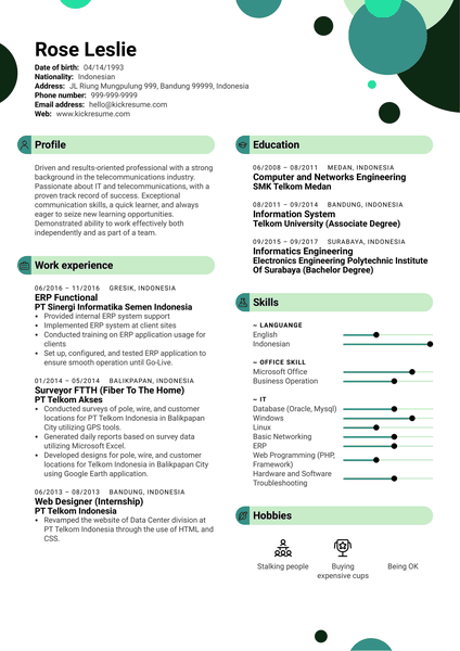 ERP Functional Analyst