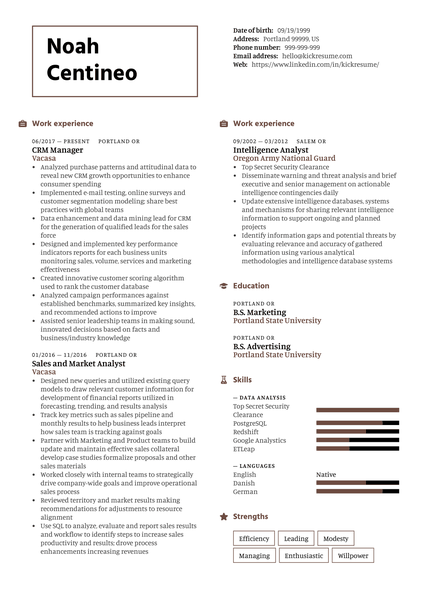 Data Analyst Resume Sample