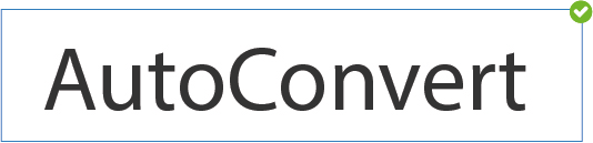 Correct AutoConvert Text
