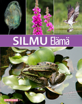 Silmu Elämä (OPS 2016) Silmu Elämä (OPS 2016)