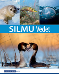 Silmu Vedet Silmu Vedet