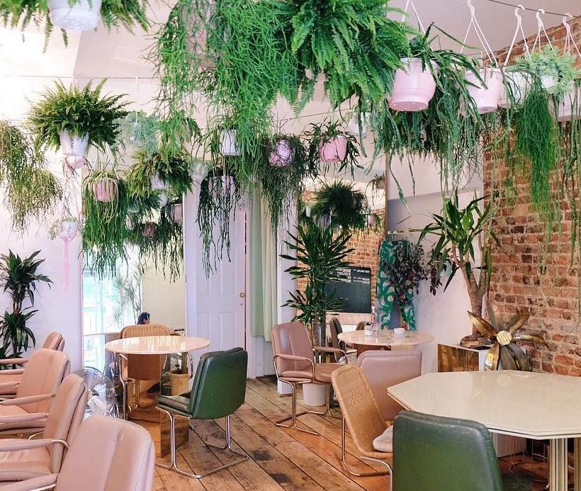 Palm Vaults | Hackney