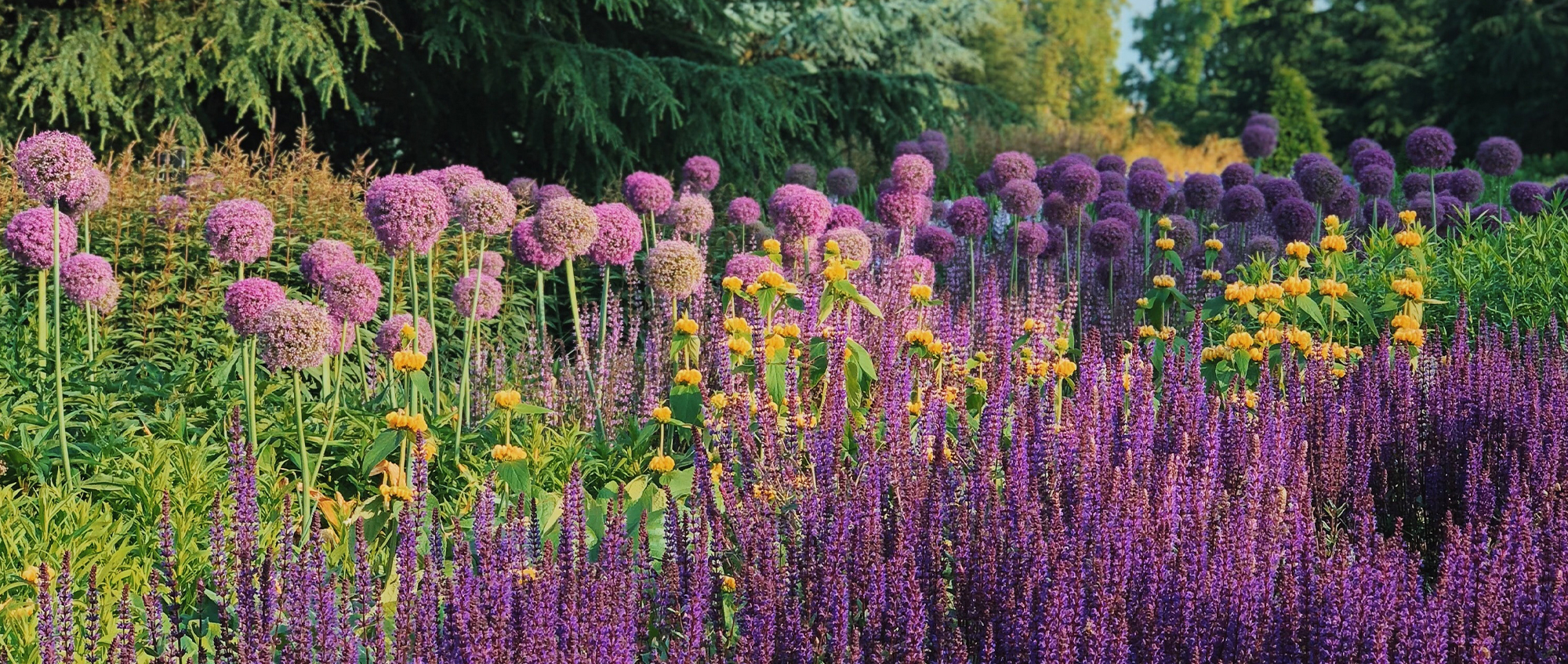 gardens to visit in somerset