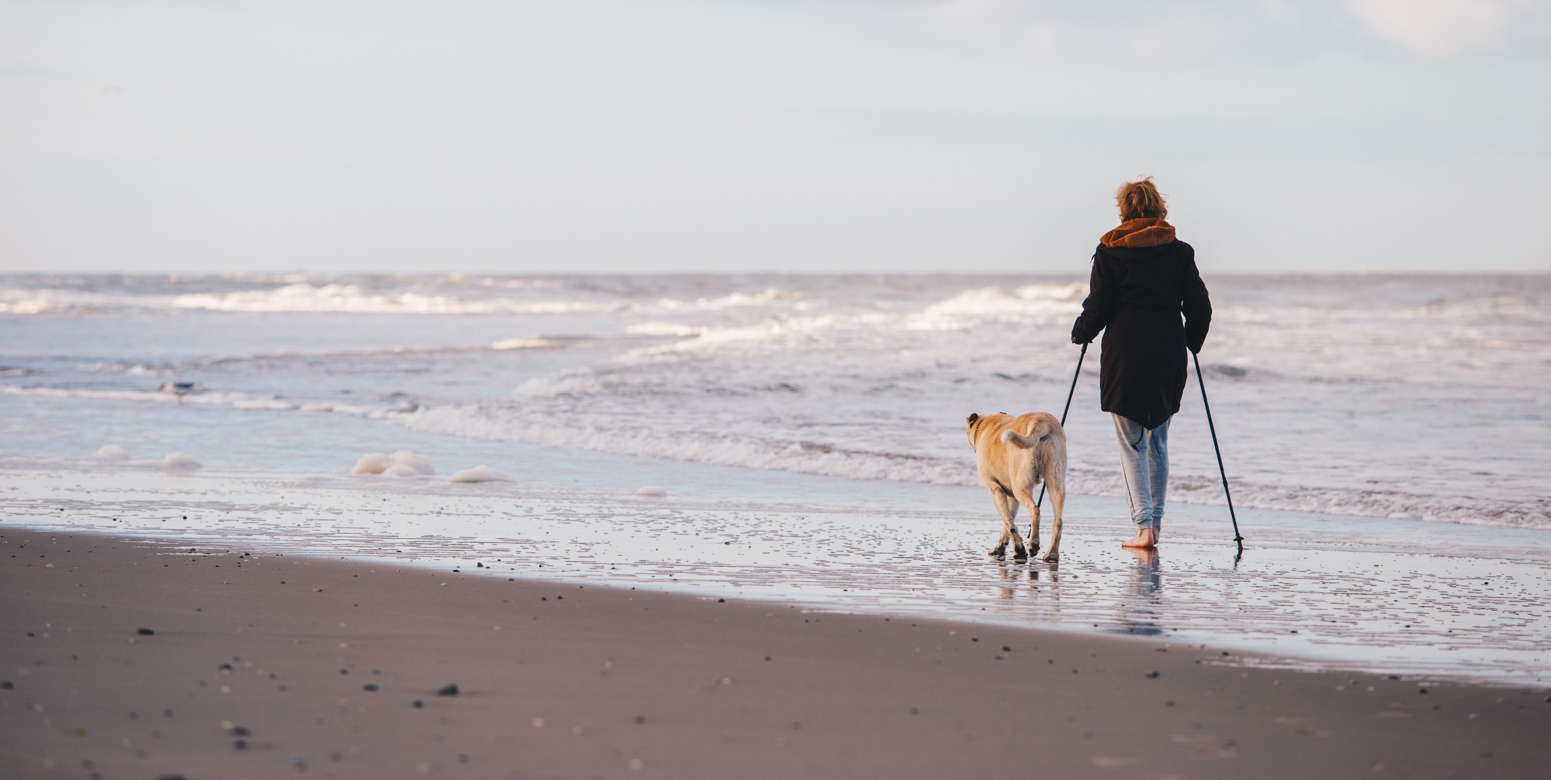 Dogfriendly gîtes in France that are close to the beach Sawday's