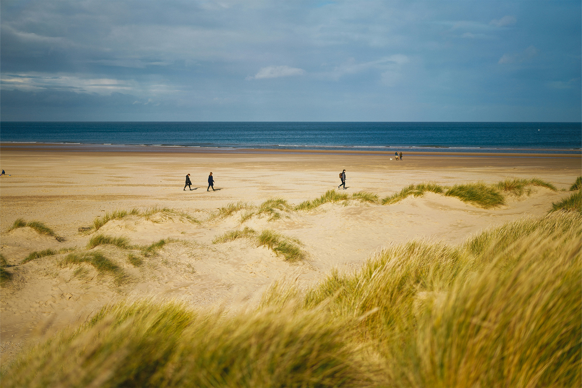 Dog-friendly beaches Norfolk