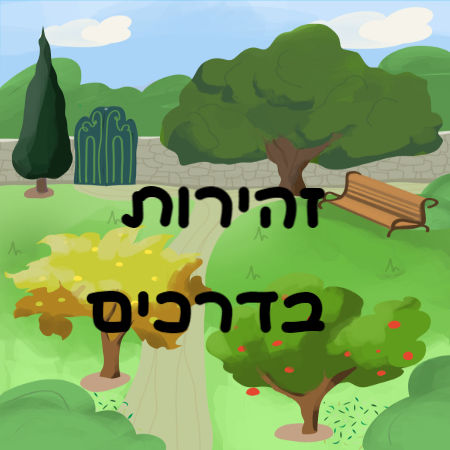 זהירות בדרכים