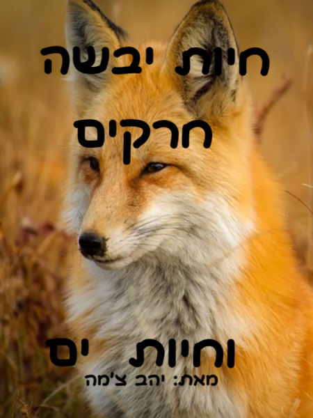 חיות יבשה ,חרקים, חיות ים