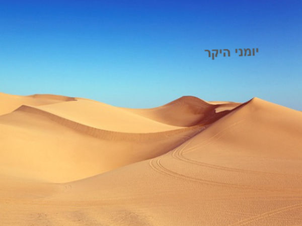 היומן שלי 