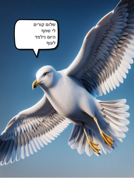 שחף הציפור