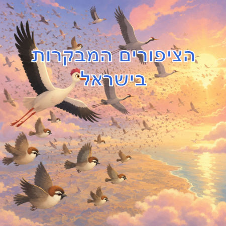 הציפורים המבקרות בישראל