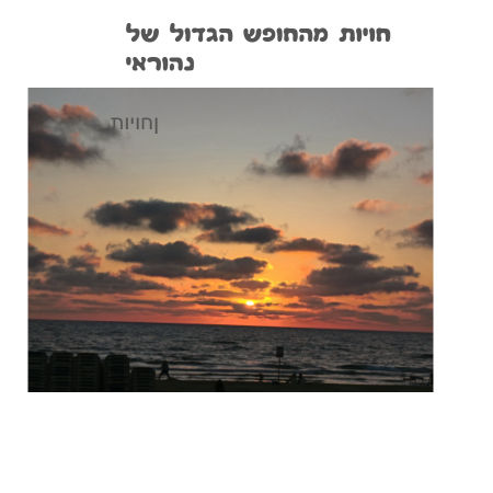 חויות מהחופש הגדול של נהוראי 