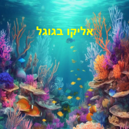 אליקו בגוגל