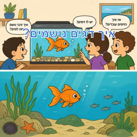 איך דגים נושמים?