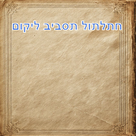 חתלתול תסביב ליקום