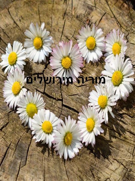 מוריה מירושלים