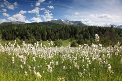 Aggiornamento da Aprica