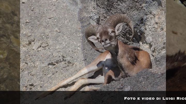 Foto dalla piste da sci Corno alle Scale