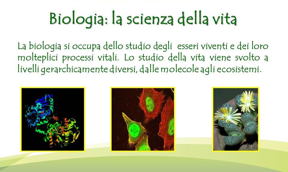 Scienze Roma Tre Scienze biologiche
