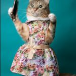 Image de profil de null