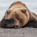 Image de profil de null