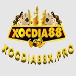 Image de profil de null