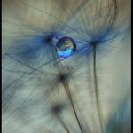 Image de profil de null