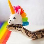 Image de profil de null
