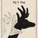 Image de profil de janedille